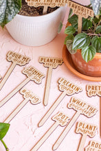 Load image into Gallery viewer, Funny Script Wooden Plant Markers: Love Grows Here