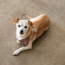 Load image into Gallery viewer, Dog Cooling Bandana - Tan Tartan