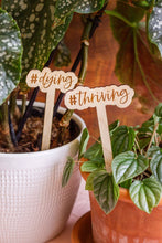Load image into Gallery viewer, Funny Script Wooden Plant Markers: I Wet My Plants