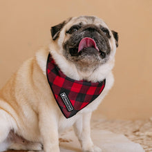 Load image into Gallery viewer, Dog Cooling Bandana - Red and Black Plaid