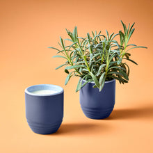 Load image into Gallery viewer, Garden Vibes Candle/Planter 2-in-1: Violet Hour - Lavender