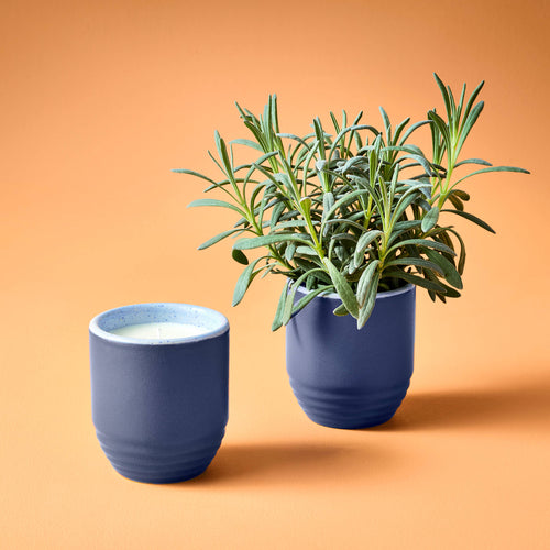 Garden Vibes Candle/Planter 2-in-1: Violet Hour - Lavender