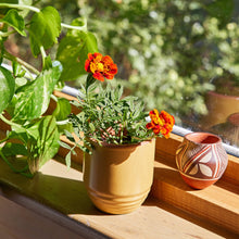 Load image into Gallery viewer, Garden Vibes Candle/Planter 2-in-1: Golden Moments - Sage