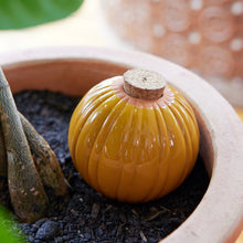 Load image into Gallery viewer, Modern Sprout - Terracotta Watering Bulb: Mustard