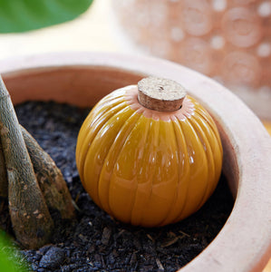Modern Sprout - Terracotta Watering Bulb: Mustard
