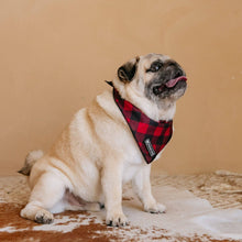 Load image into Gallery viewer, Dog Cooling Bandana - Red and Black Plaid