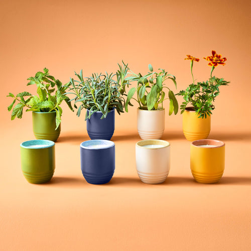 Garden Vibes Candle/Planter 2-in-1: Golden Moments - Sage