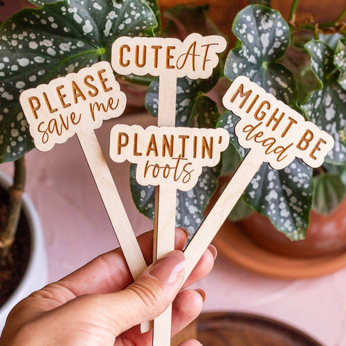 Funny Script Wooden Plant Markers: I Wet My Plants