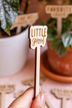 Load image into Gallery viewer, Funny Script Wooden Plant Markers: Love Grows Here
