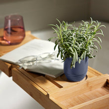 Load image into Gallery viewer, Garden Vibes Candle/Planter 2-in-1: Violet Hour - Lavender