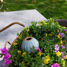 Load image into Gallery viewer, Modern Sprout - Terracotta Watering Bulb: Sage
