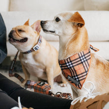 Load image into Gallery viewer, Dog Cooling Bandana - Tan Tartan