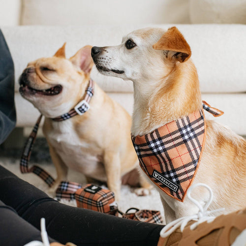 Dog Cooling Bandana - Tan Tartan