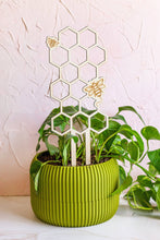 Load image into Gallery viewer, Honeycomb Wooden Plant Trellis