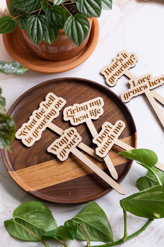 Funny Wooden Plant Markers: Don't Touch Me