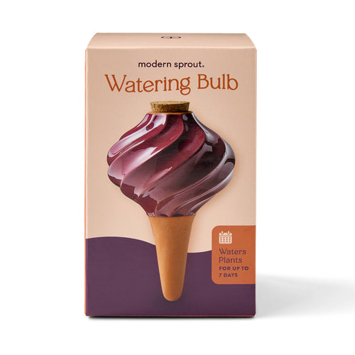 Terracotta Watering Bulb: Plum