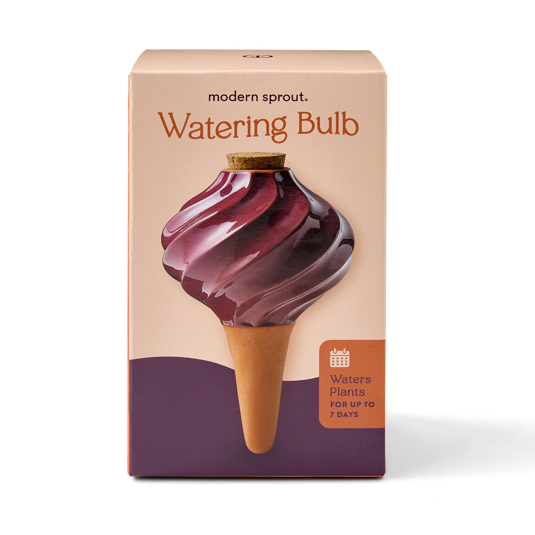 Terracotta Watering Bulb: Plum