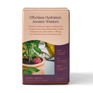 Terracotta Watering Bulb: Plum