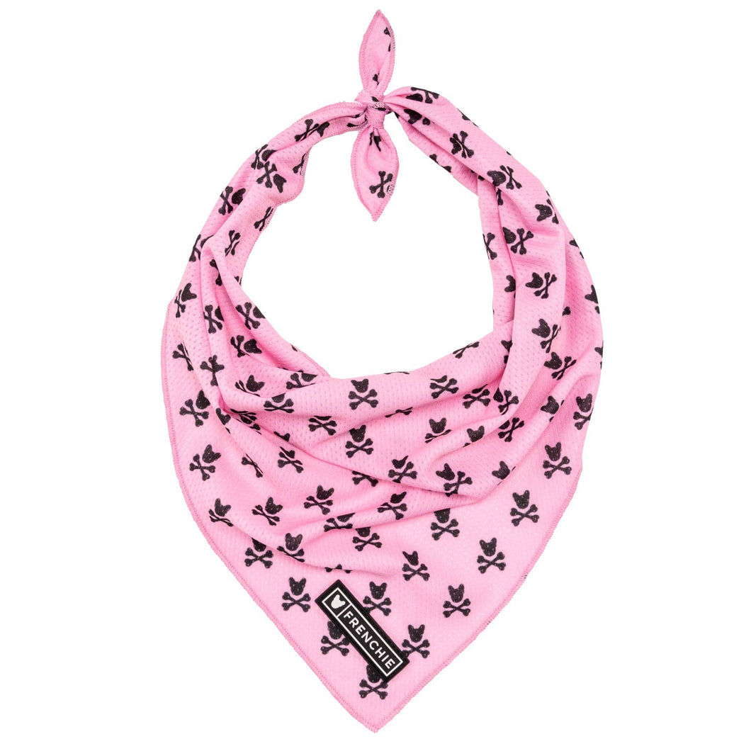 Dog Cooling Bandana - Pink Bad to the Bone