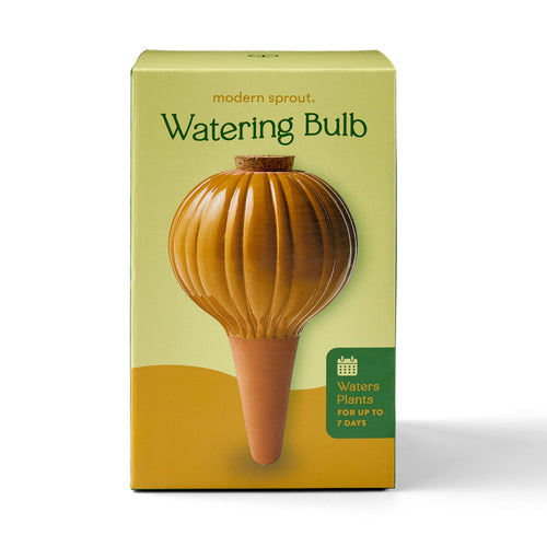 Modern Sprout - Terracotta Watering Bulb: Mustard