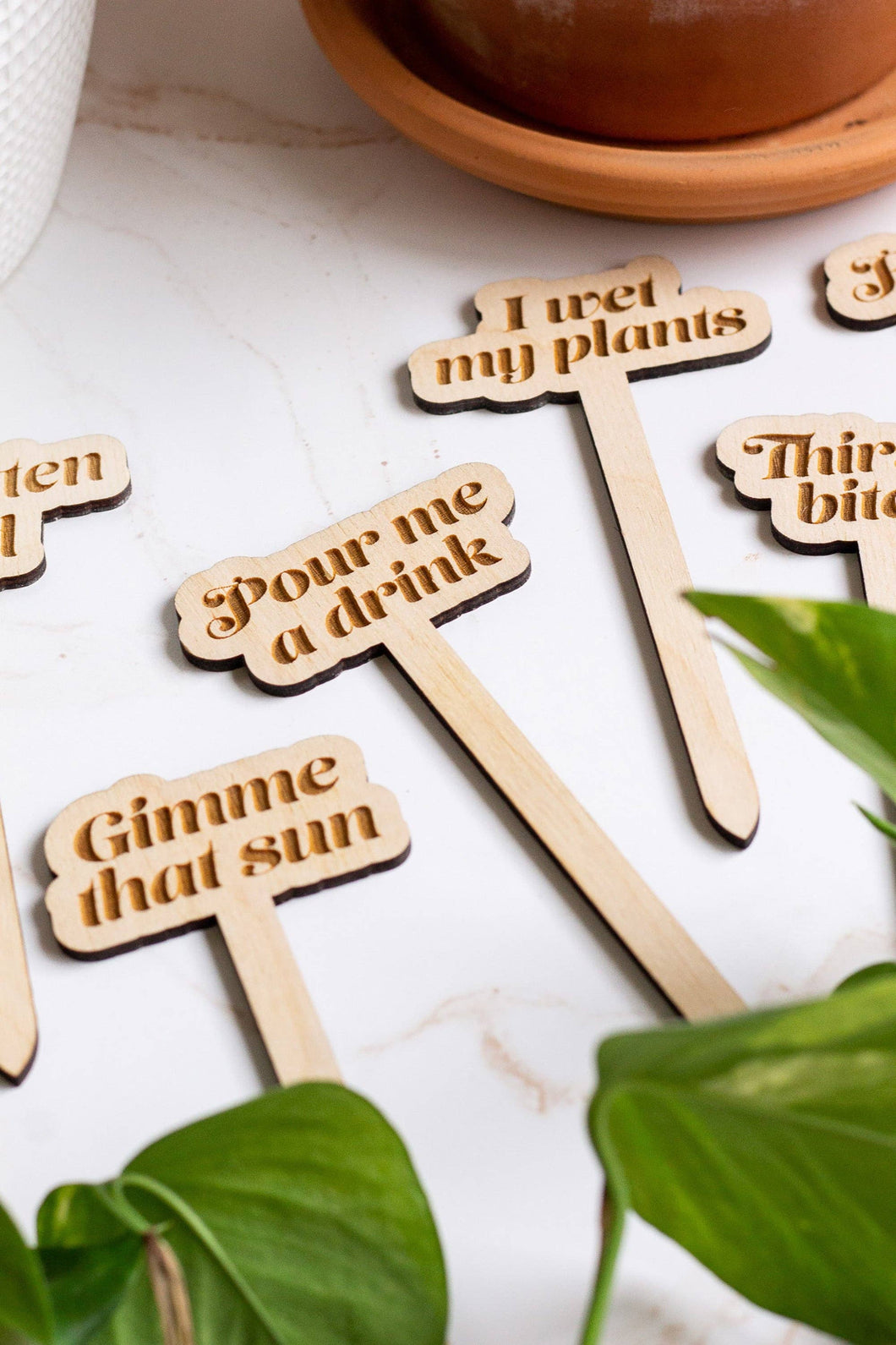 Funny Wooden Plant Markers: Gimme That Sun
