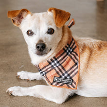 Load image into Gallery viewer, Dog Cooling Bandana - Tan Tartan