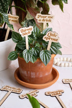 Load image into Gallery viewer, Funny Wooden Plant Markers: Gimme That Sun