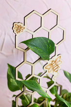 Load image into Gallery viewer, Honeycomb Wooden Plant Trellis