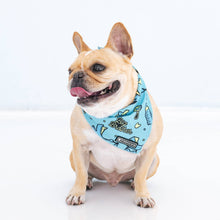 Load image into Gallery viewer, Dog Cooling Bandana - Big Brother