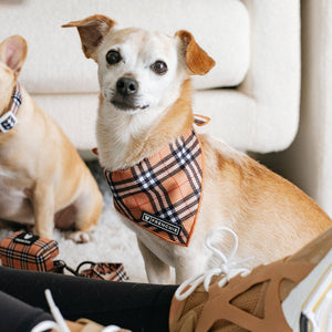 Dog Cooling Bandana - Tan Tartan