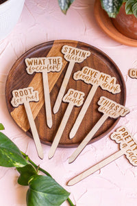Funny Script Wooden Plant Markers: Needy Bitch