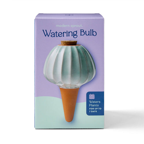 Modern Sprout - Terracotta Watering Bulb: Sage