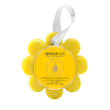 Load image into Gallery viewer, Spongellé - Sweet Patchouli Wild Flower