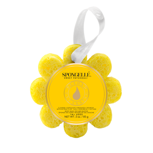 Spongellé - Sweet Patchouli Wild Flower