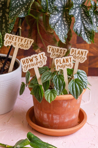 Funny Script Wooden Plant Markers: Plant Mama