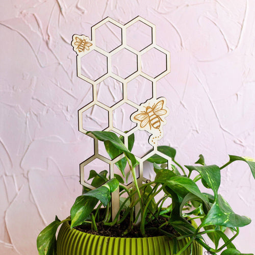 Honeycomb Wooden Plant Trellis