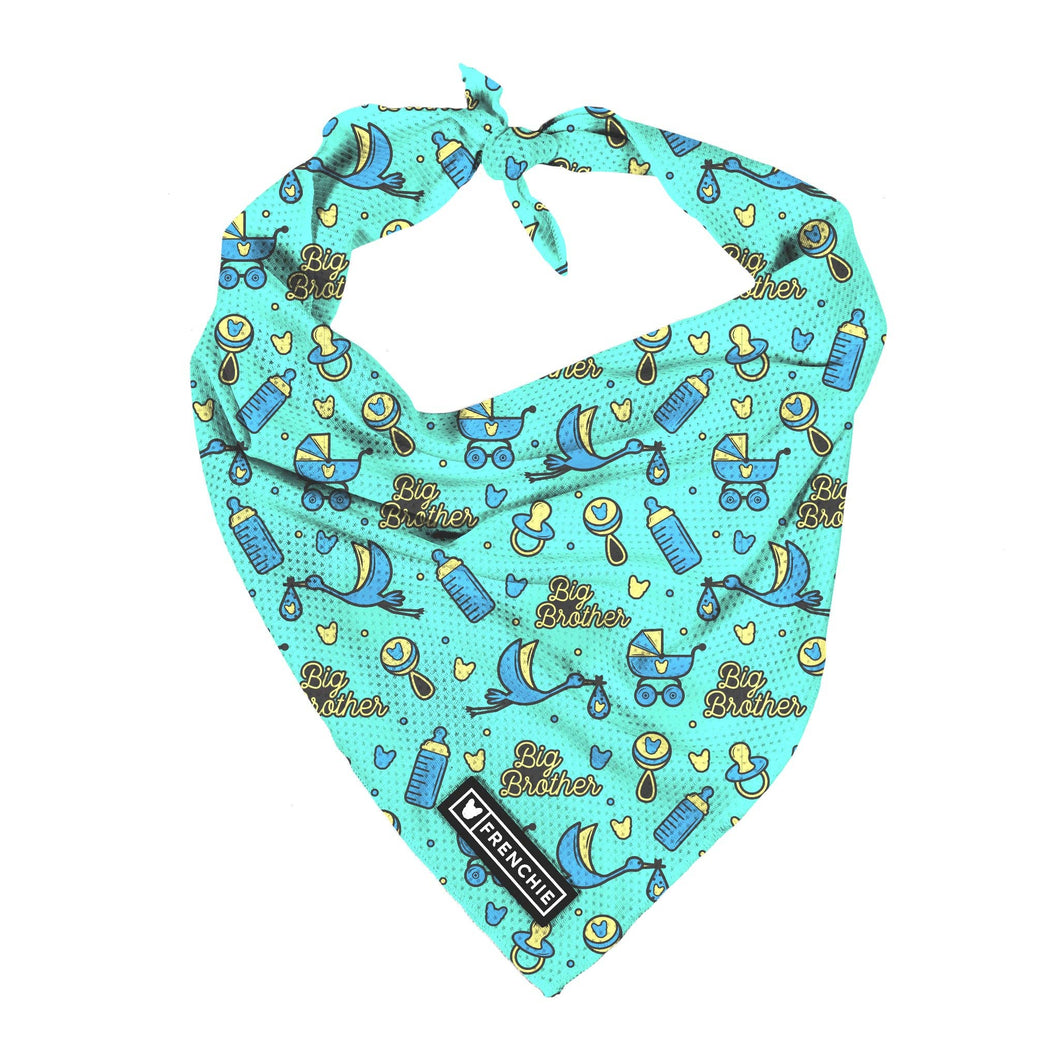 Dog Cooling Bandana - Big Brother