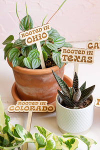 Retro State Name Plant Stakes: COLORADO