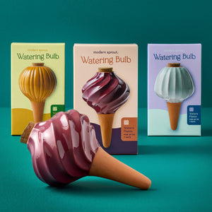 Terracotta Watering Bulb: Plum