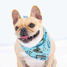 Load image into Gallery viewer, Dog Cooling Bandana - Big Brother