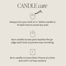 Load image into Gallery viewer, LIMITED EDITION Plant Lady 9 oz Soy Candle