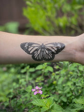 Load image into Gallery viewer, NatureTats - Monarch Butterfly Temporary Tattoo: 1-Pack