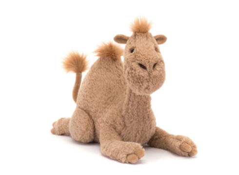Richie Dromedary